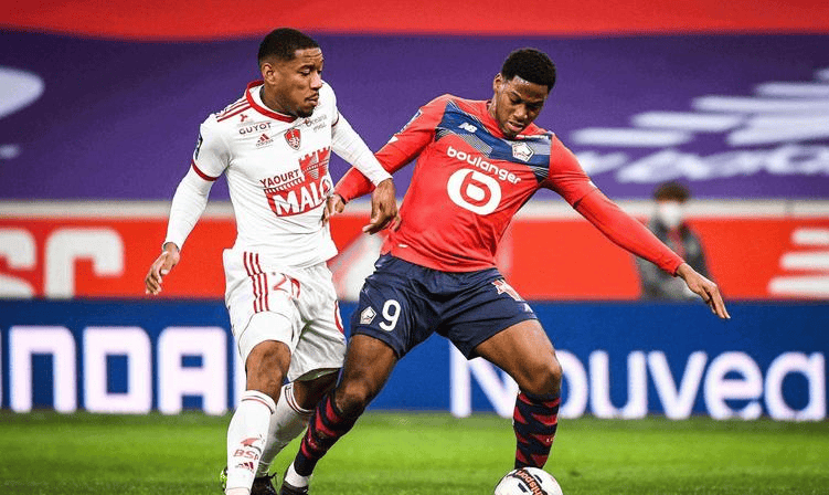 区的众多顶 区的众多顶