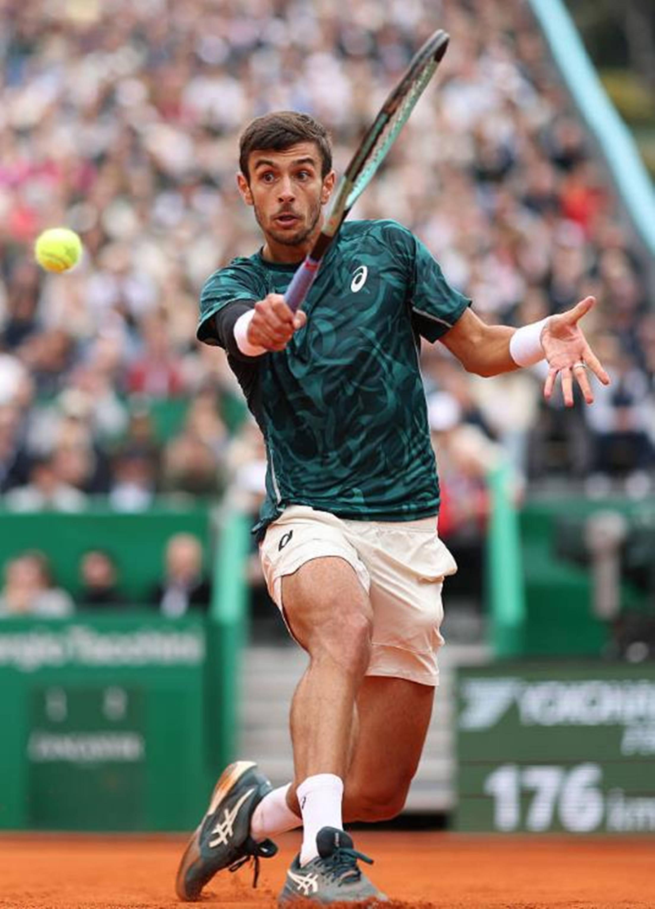 在疾风中掌 在疾风中掌